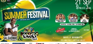 Salgadinho Live Tour® Brazil Summer Festival