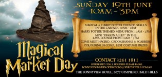 Magical Market Day / Harry Potter Event