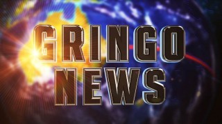 Gringo News